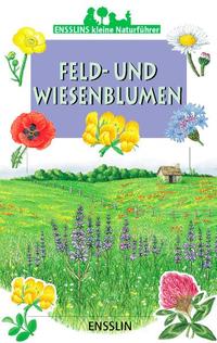 Feld- und Wiesenblumen by