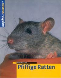 Pfiffige Ratten by