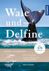 Wale und Delfine by