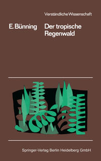 Regenwald by