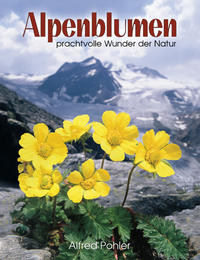 Alpenblumen by