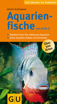 Aquarienfische by