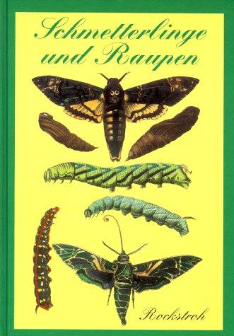 Schmetterlinge und Raupen by