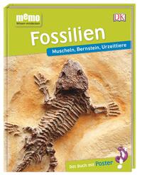 Fossilien: Muschel, Bernstein, Urzeittiere by